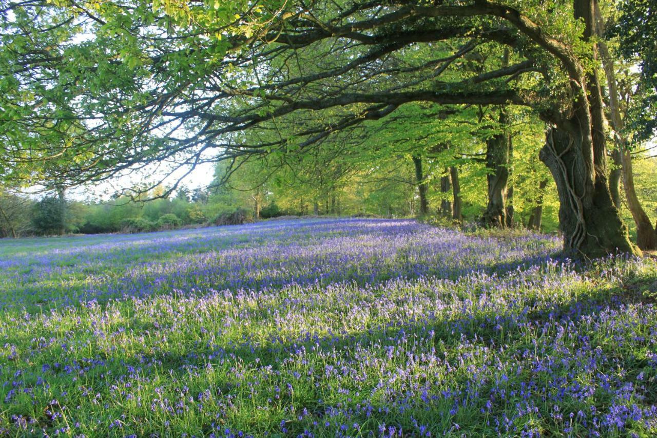 Church Hill Farm Monmouth Dış mekan fotoğraf